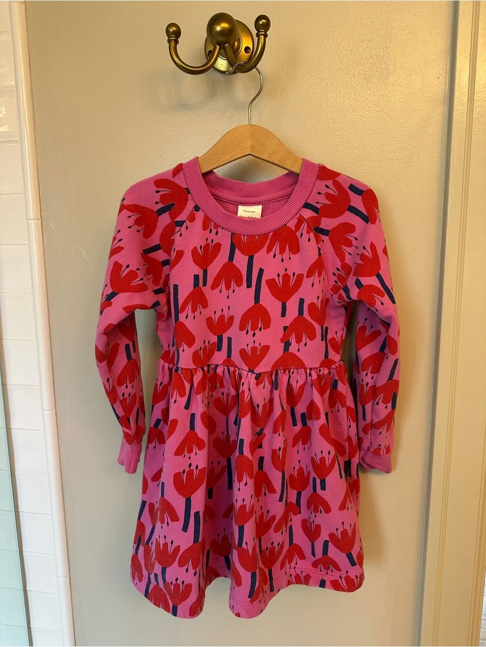 Hanna Andersson Pink Dress with Red Tulip Print